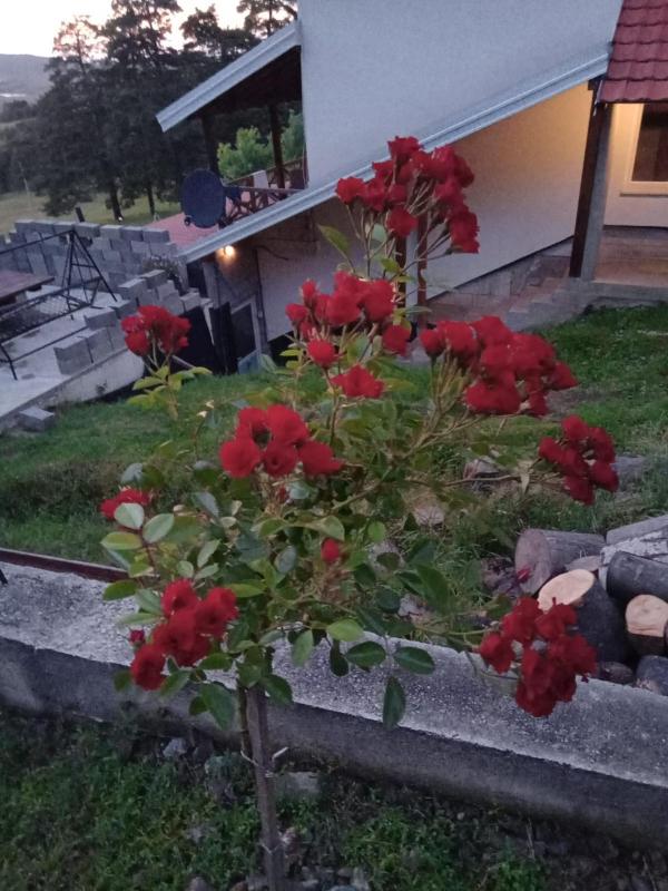 Ispod duge - image 10