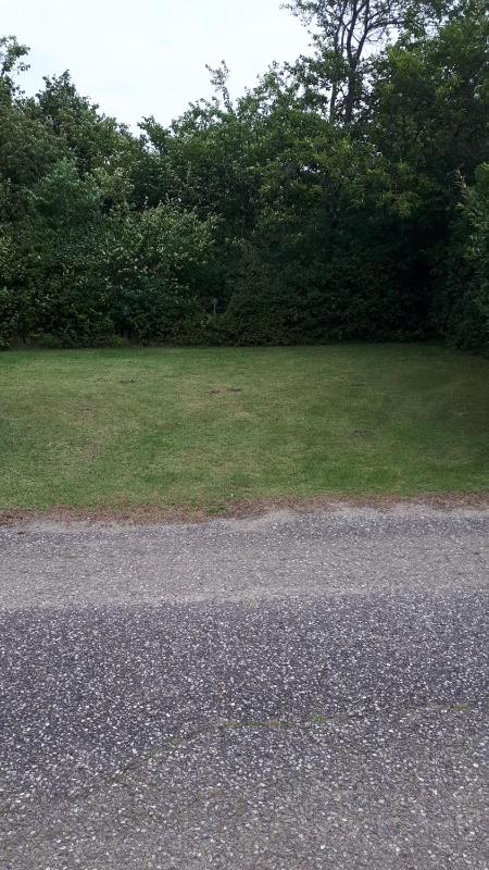Empty Lot (Bring your own Tent) image 2