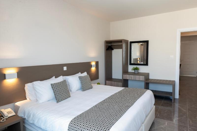 Deluxe One-Bedroom Apartment image 4