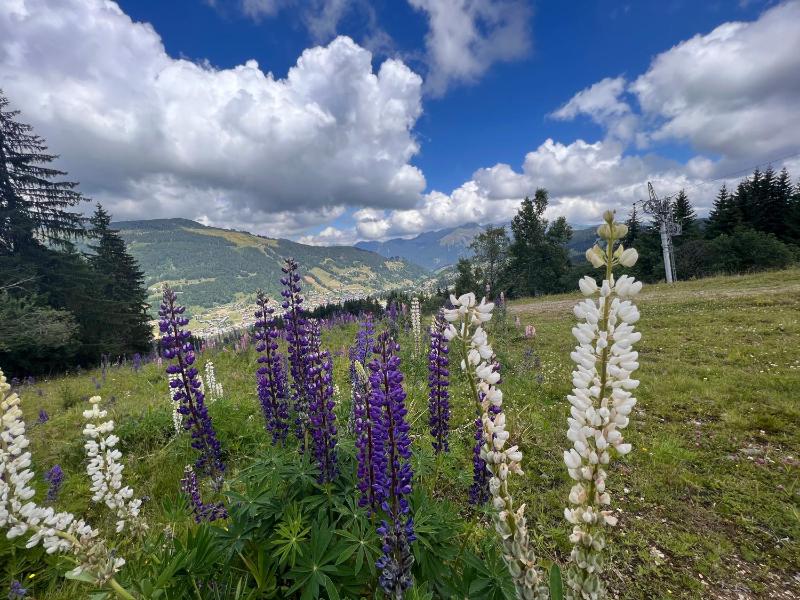 Chalet Aventure B&B Les Gets - image 12