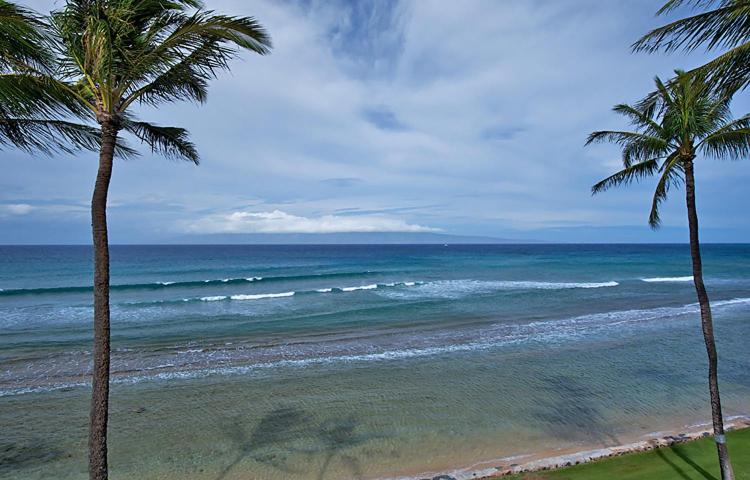 Papakea #L407 - image 10