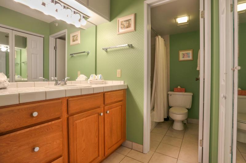 Valley Isle 806 - image 12