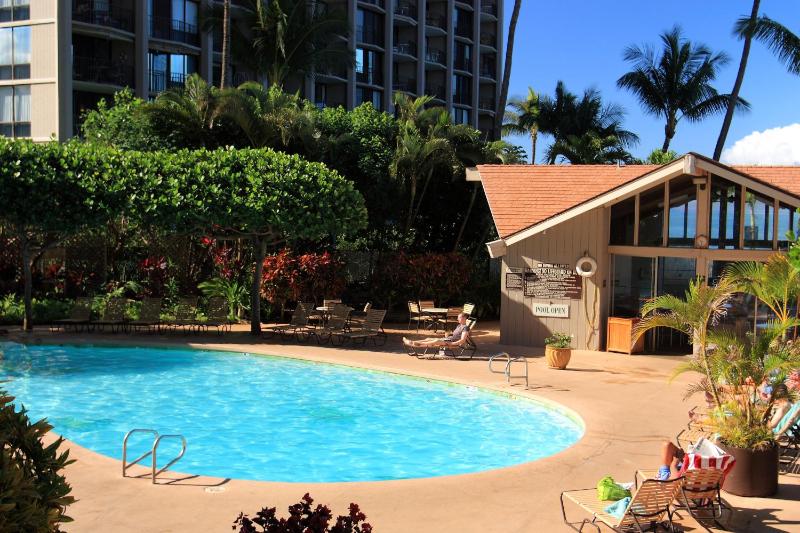 Royal Kahana #319 - image 4