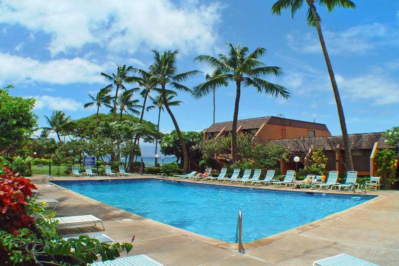 Kuleana #206 - image 17