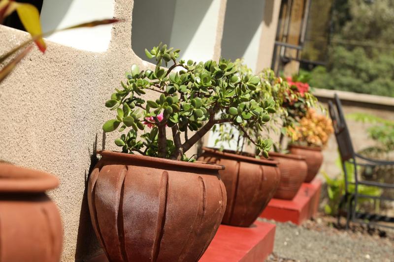 Wademac Arusha Inn Hotel - image 15