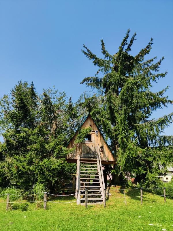 Get your zen among the trees Images
