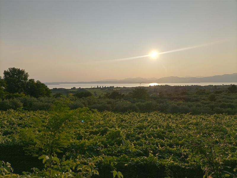 Bardolino Suite - image 16