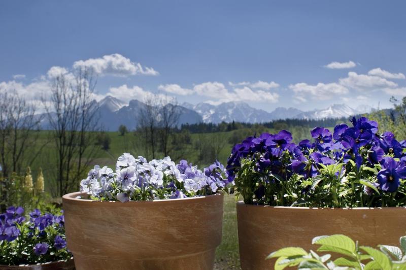 Apartment with Mountain View image 3