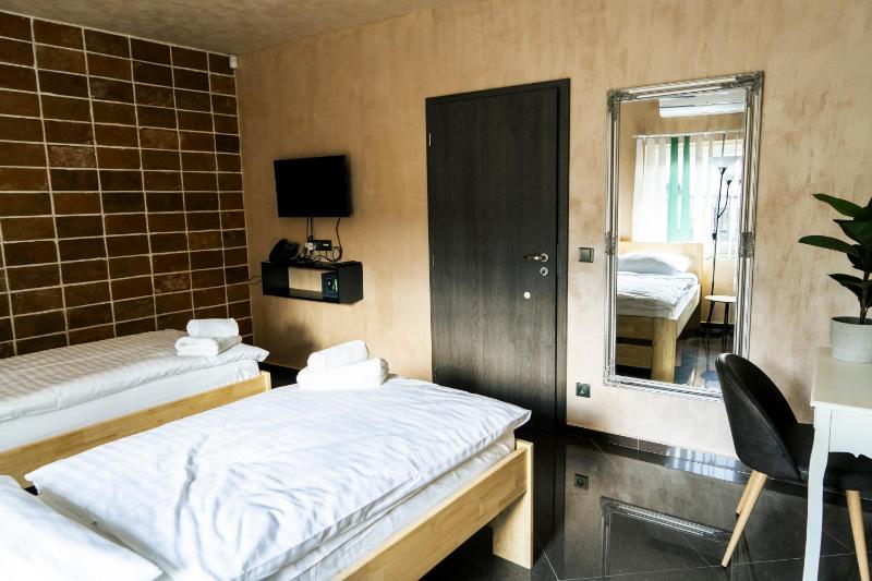 Standard Twin Room image 3