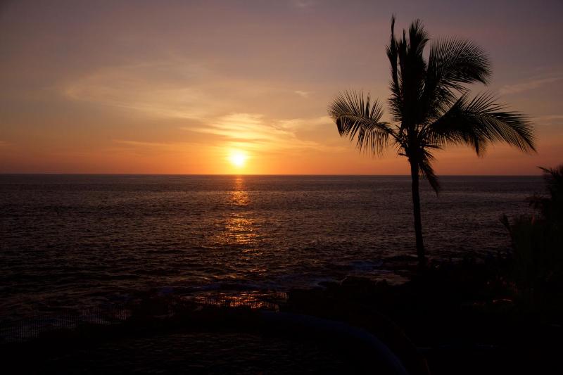 Casa de Emdeko 318 - image 9