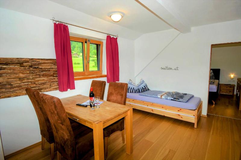 Large One-Bedroom Apartment image 4