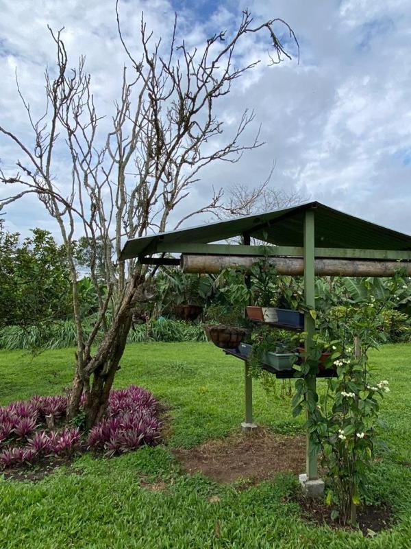 Mi Casita Campersite - image 7