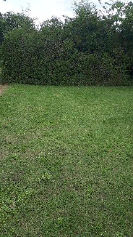 Empty Lot (Bring your own Tent) image 3