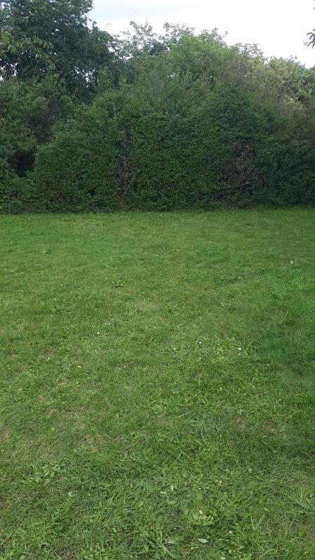 Empty Lot (Bring your own Tent) image 4