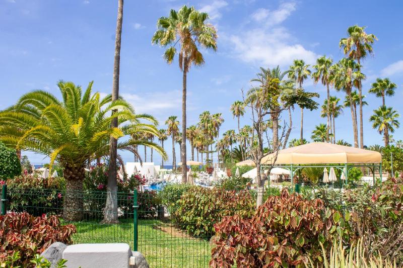 Apartamentos El Beril Costa Adeje - image 15