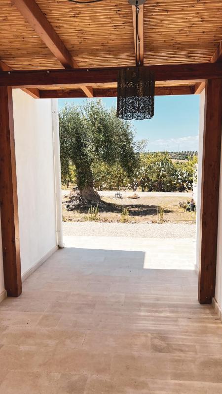 Tenuta Alessandra Noto - image 2