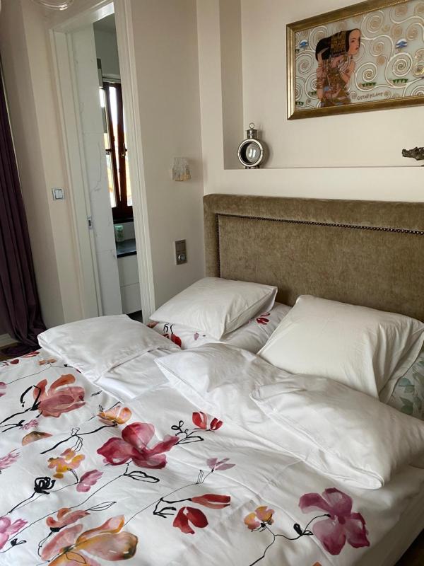 Deluxe Villa image 3