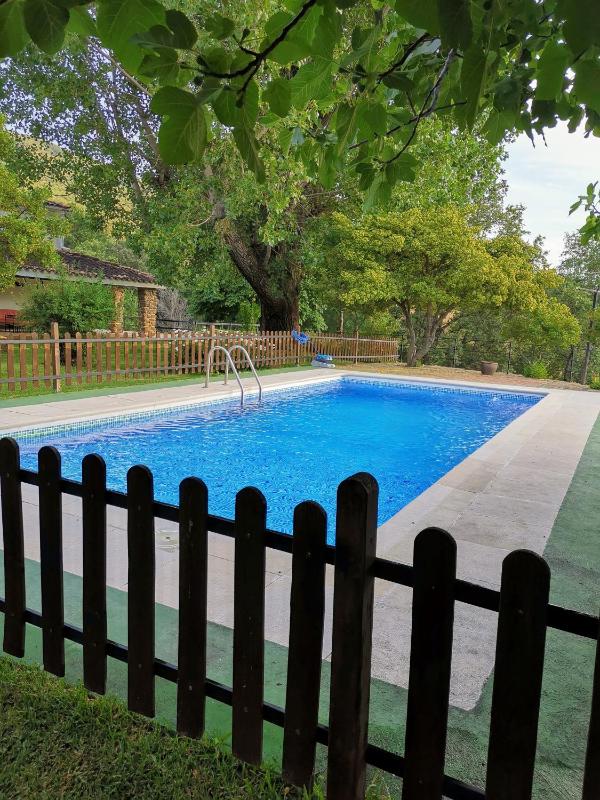 One-Bedroom Cottage (4 Adults) image 3