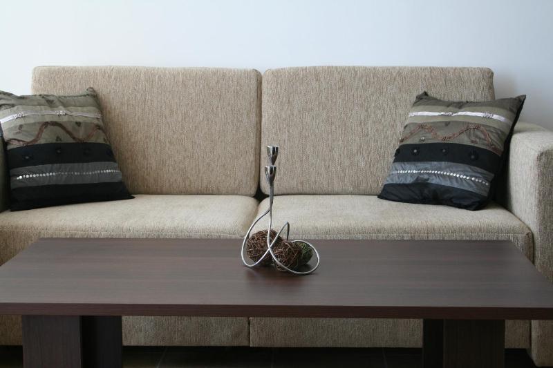 One-Bedroom Apartment image 2
