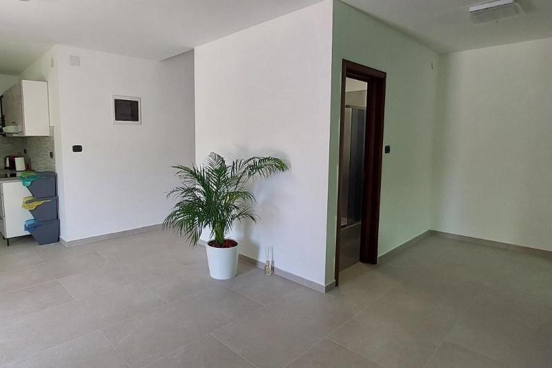 Apartment image 2