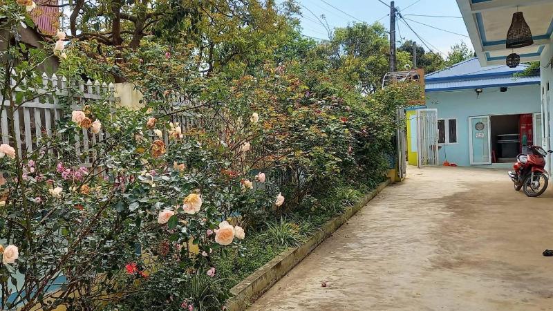 MŨM HOMESTAY MỘC CHÂU - image 6
