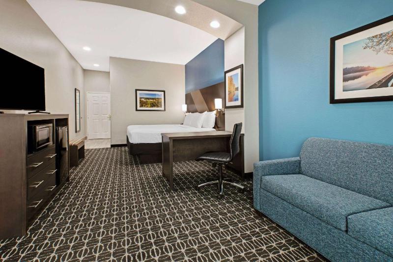 Deluxe King Suite image 1