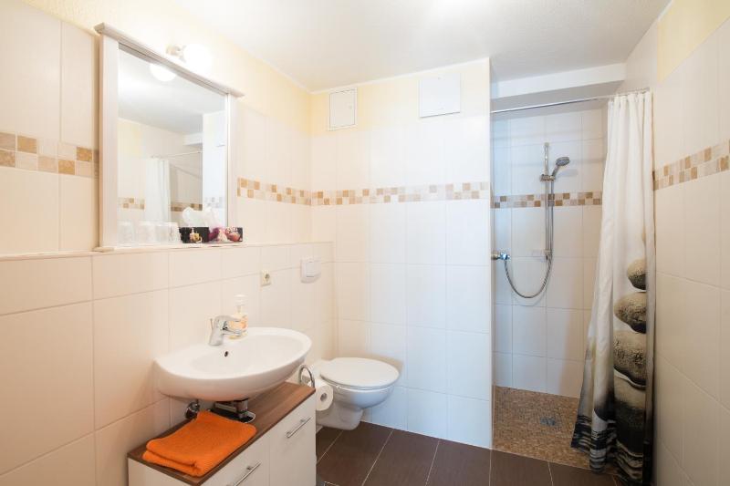 One-Bedroom Apartment image 4