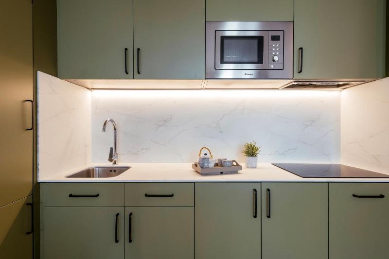 One-Bedroom Apartment image 4