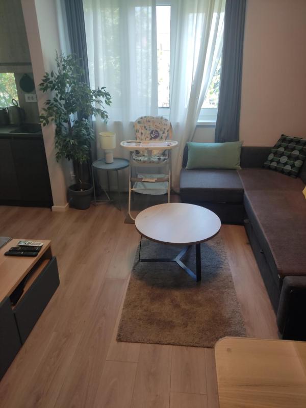 Deluxe Apartment image 4