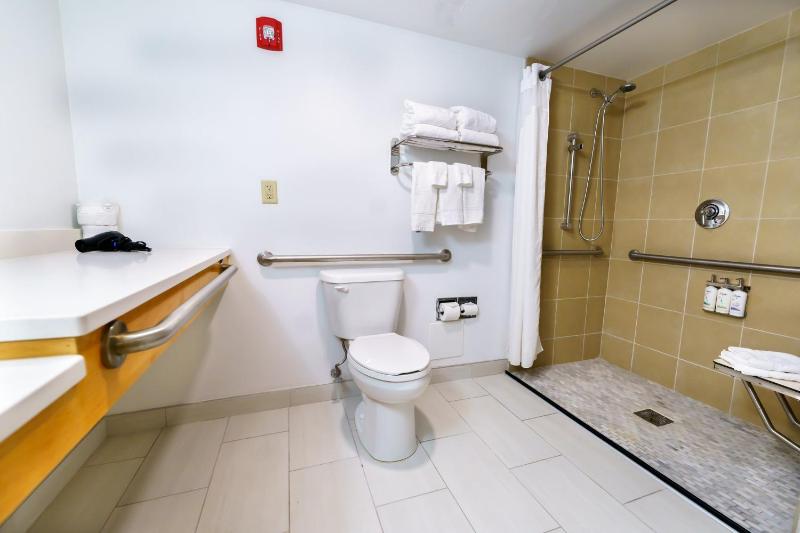 King Room with Roll-In Shower - Disability Access image 3