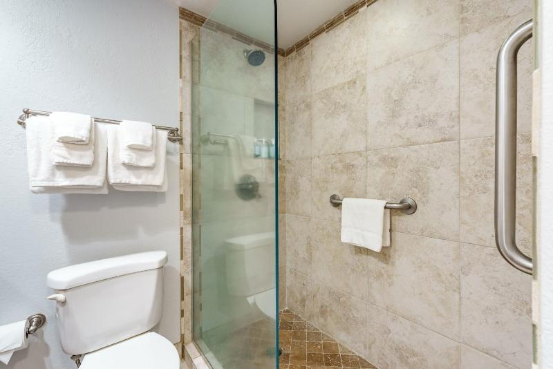 Royal Kahana 702 Studio Condo - image 3