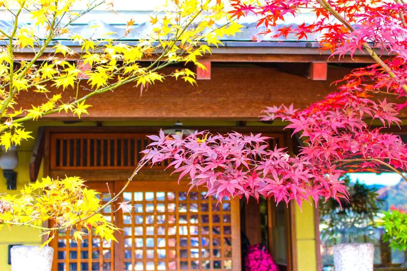 Stay SAKURA Kyoto Nijo Castle West I - image 6
