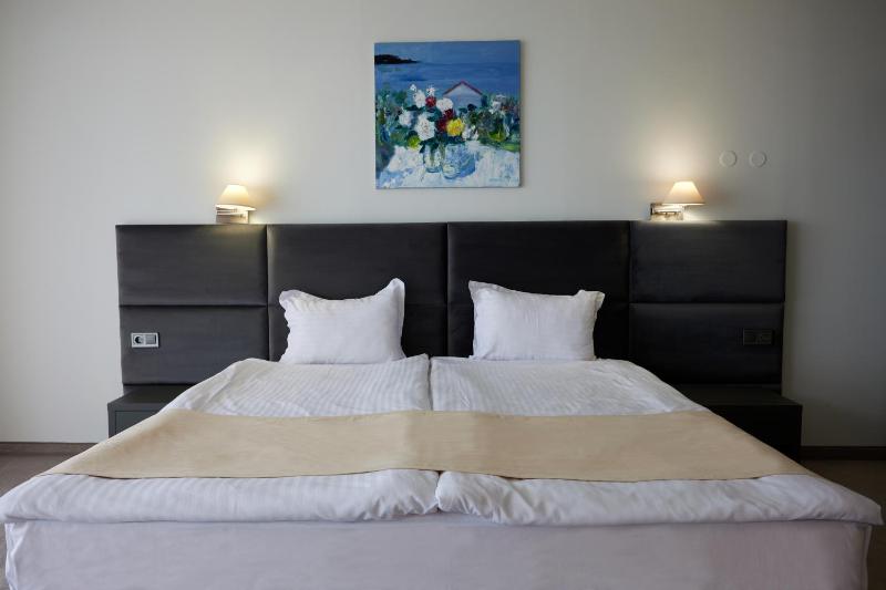 One-Bedroom Apartment image 4