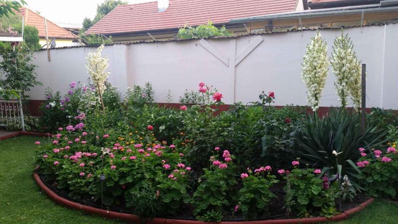 Apartment Siofok Lake Balaton 3 - image 17