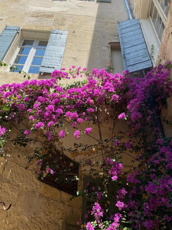 Hôtel du Musée - image 6