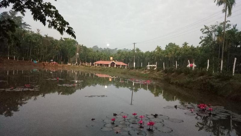 Haveli Holiday Homestay by StayApart - image 19