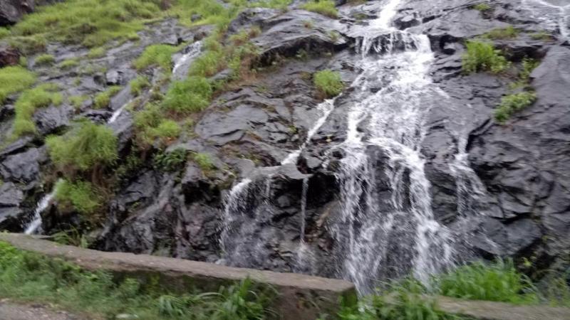 Haveli Holiday Homestay by StayApart - image 12