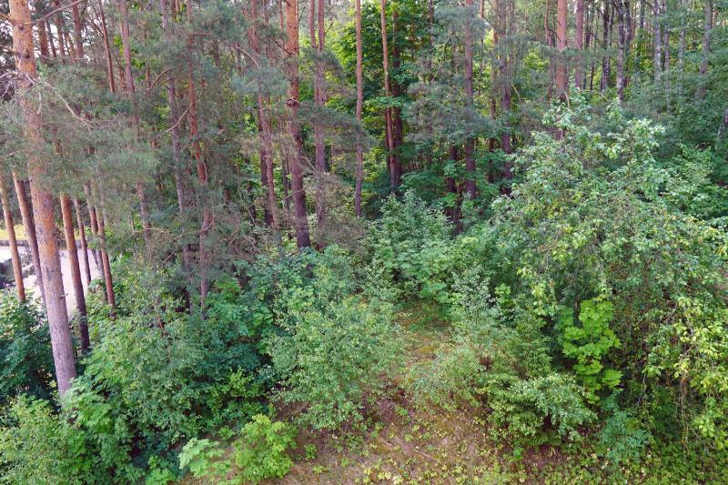 Two-story Deluxe Suite with a Balcony and Spa Access image 3