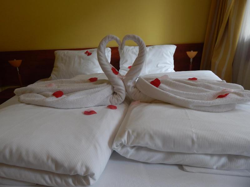 Double or Twin Room image 2