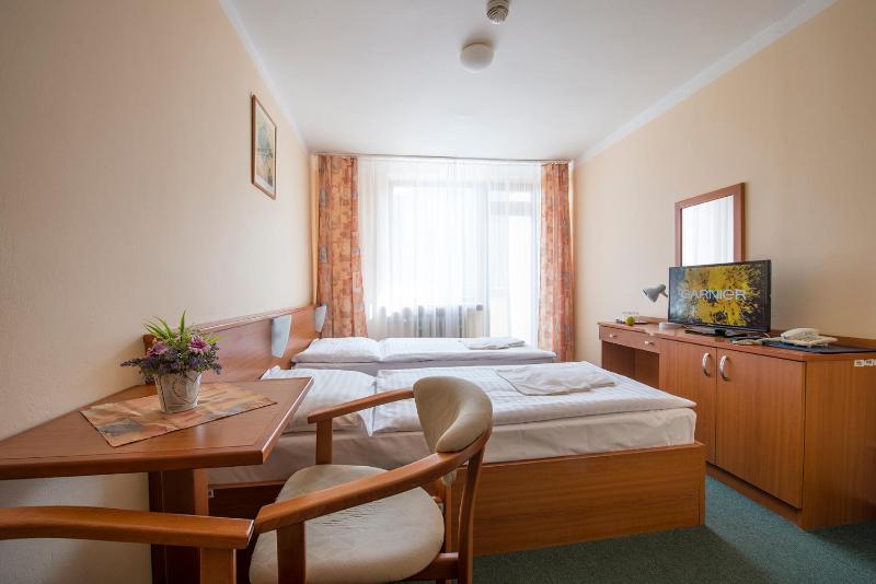 Standard Twin Room image 4