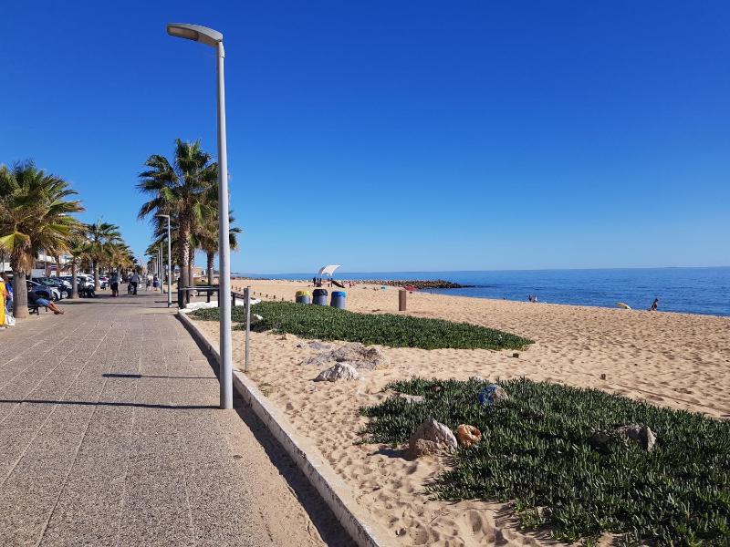 T1 MIRA PRAIA a - image 13