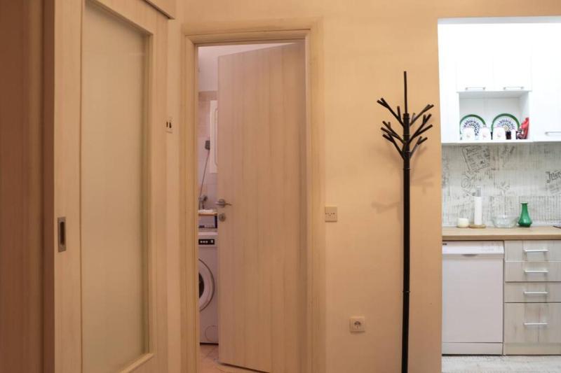 Platanus - image 2