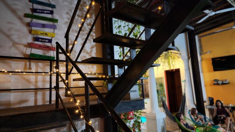 Baboon Hostel - image 32