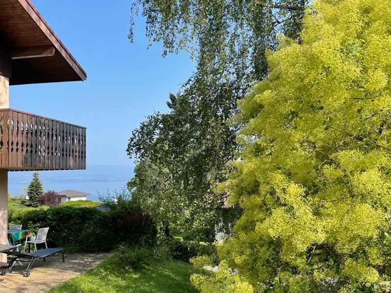 Apartment (4 Adults) image 2