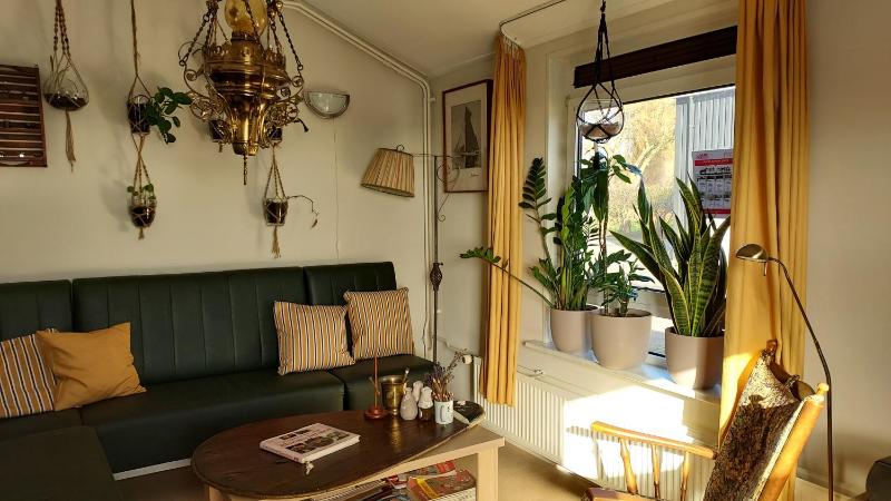 Family Bungalow image 4