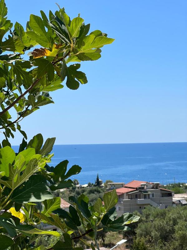 Kalesma Himare - image 3