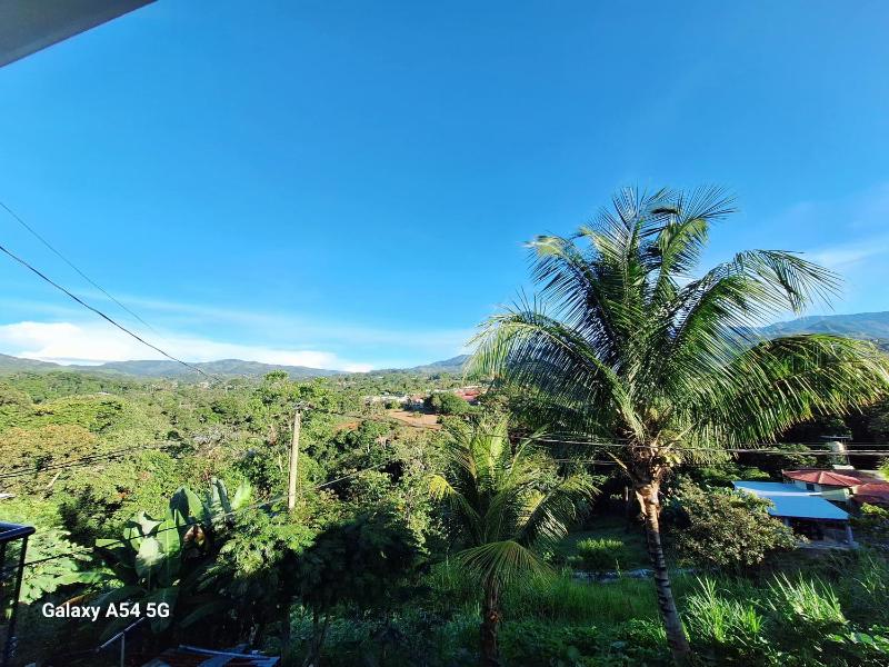 Coral House - image 10