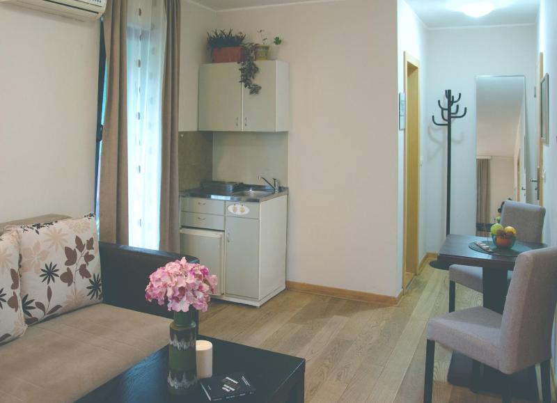 One-Bedroom Apartment image 4
