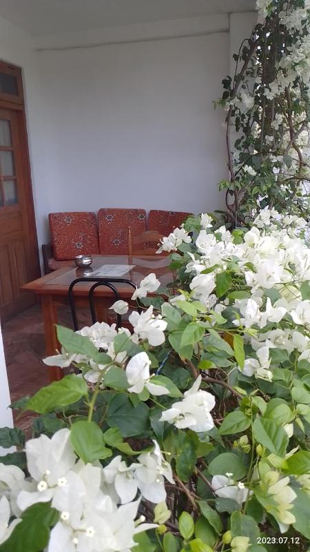 Old Town Hotel - image 10