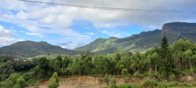 Aden Valley - image 22